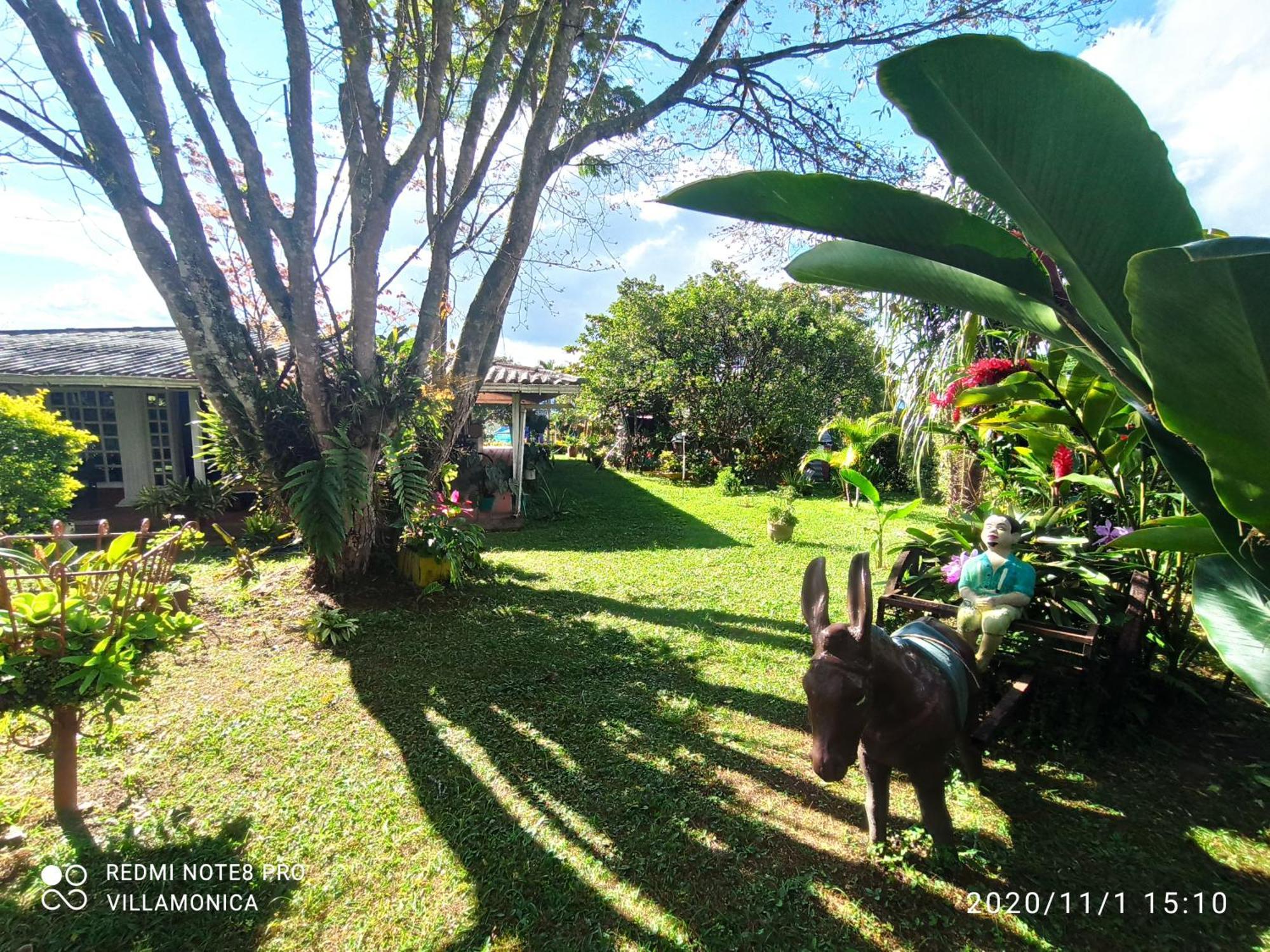 Villa Monica Montenegro Bagian luar foto