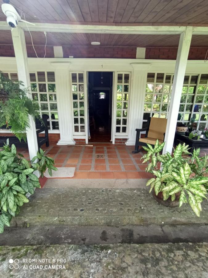 Villa Monica Montenegro Bagian luar foto