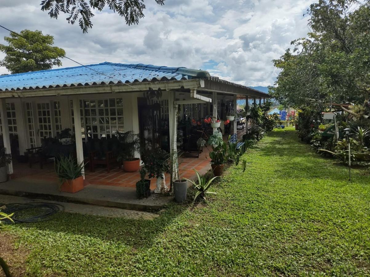 Villa Monica Montenegro Bagian luar foto